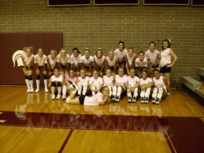 JV Pink both teams.jpg