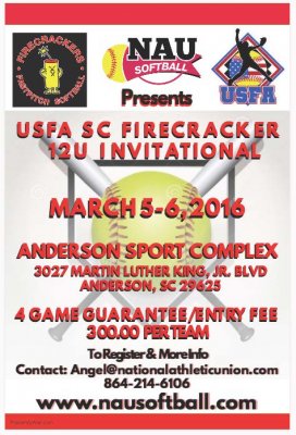 Firecracker Flyer v4_4eIa.jpg