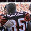 Ocho Cinco